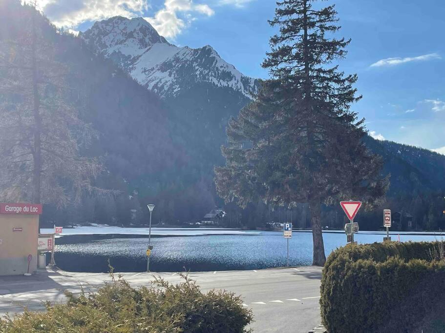 Charmant 2,5 Pieces Avec Jardin A 2 Pas Du Lac Champex-Lac Eksteriør billede