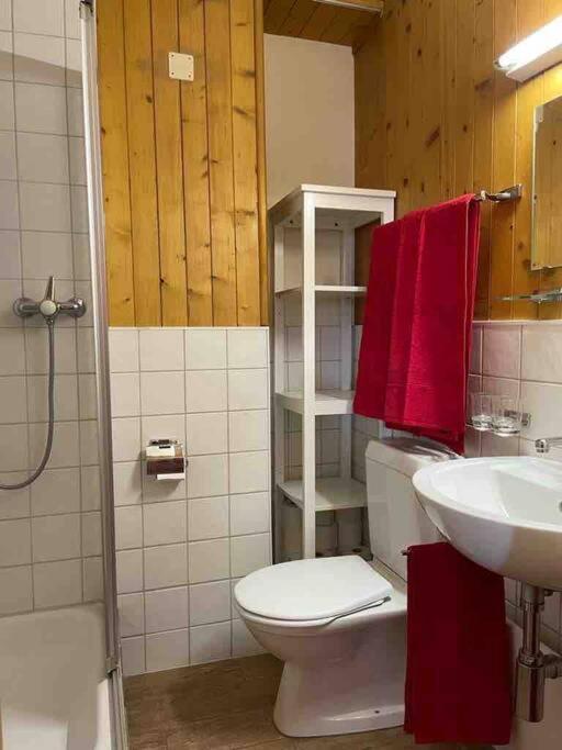 Charmant 2,5 Pieces Avec Jardin A 2 Pas Du Lac Champex-Lac Eksteriør billede